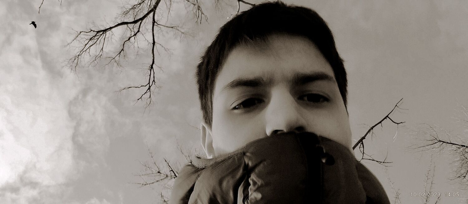  44834855  , 19 ,    