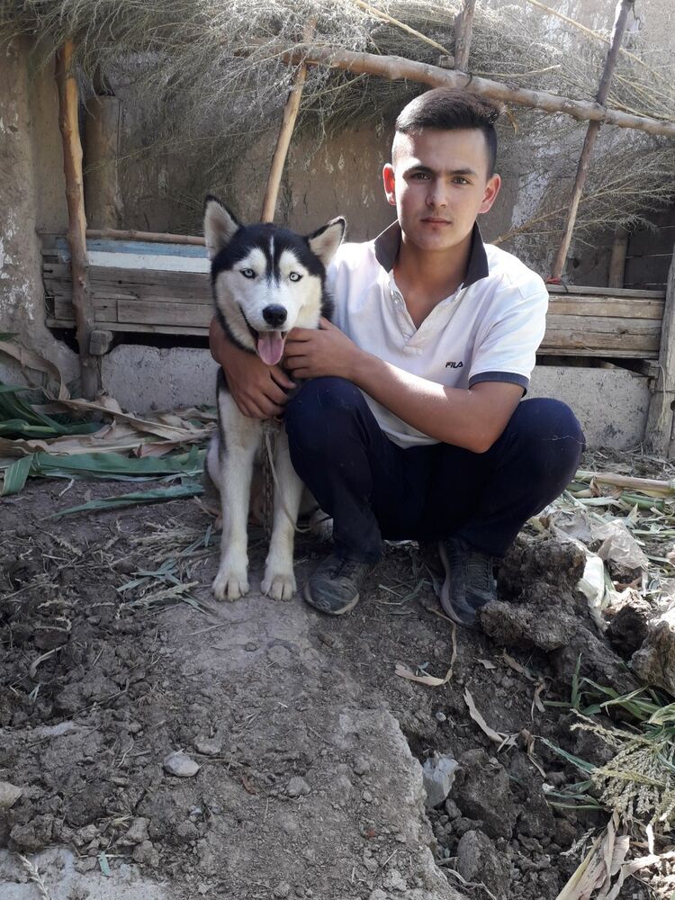 ���� 39436355 ����� Jan, 24 ����, ���� ���������� � ��������