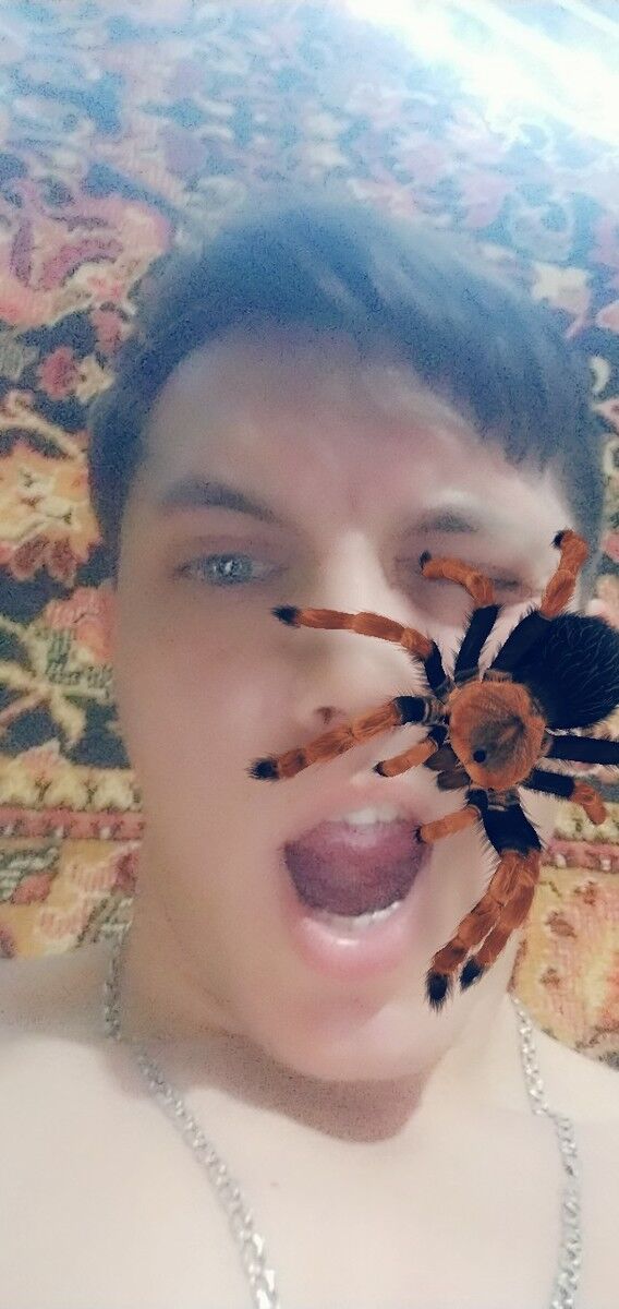  19091275  , 29 ,    