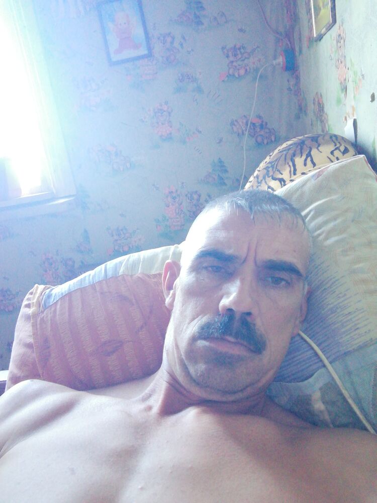  43910715  , 43 ,    