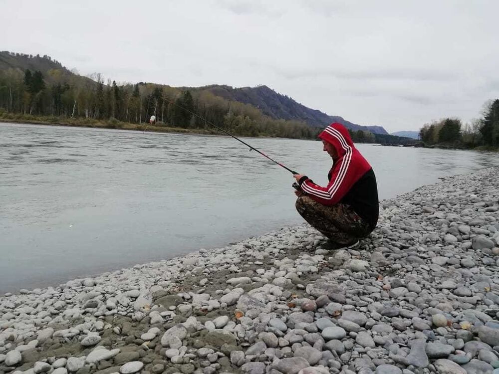 ���� 18866855 ������� �������, 44 ����, ���� ���������� � ��������