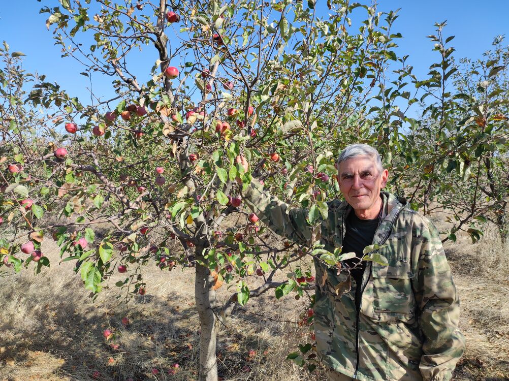 ���������� ������, ���� ������� �����, 60 ���, ������������ ��� ������, ����� � ���������