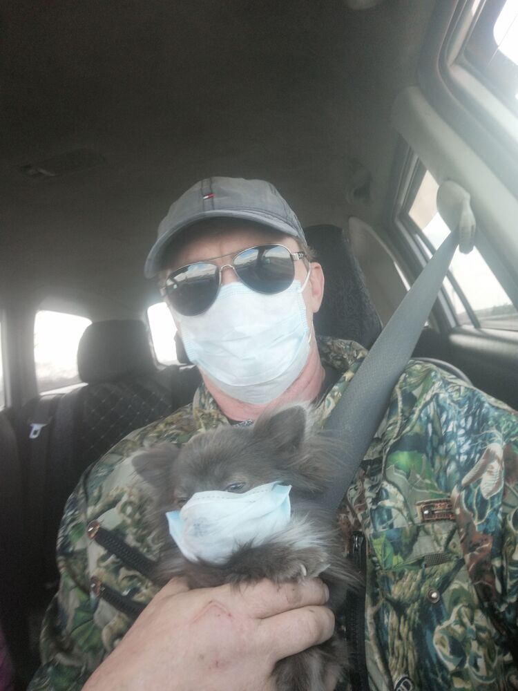 ���� 24463345 ������� �������, 42 ����, ���� ���������� � �������������