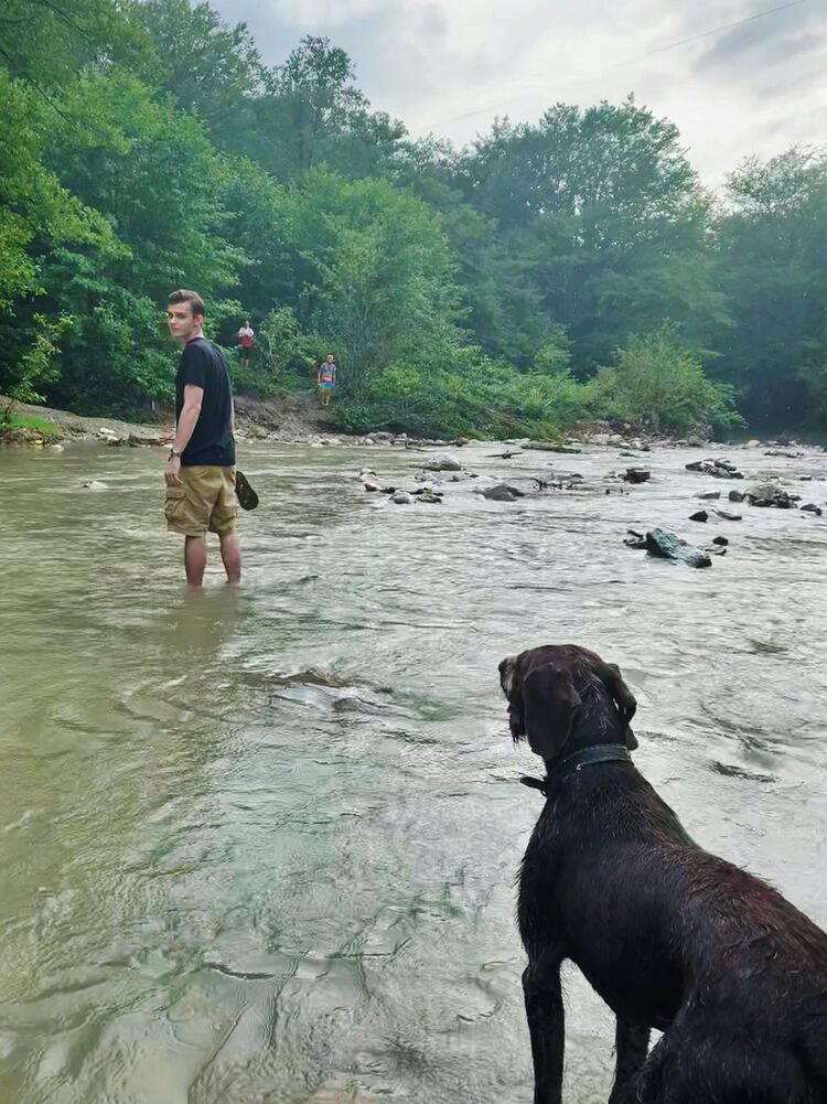 ���� 37889505 ������� ������, 26 ���, ���� ���������� � ����