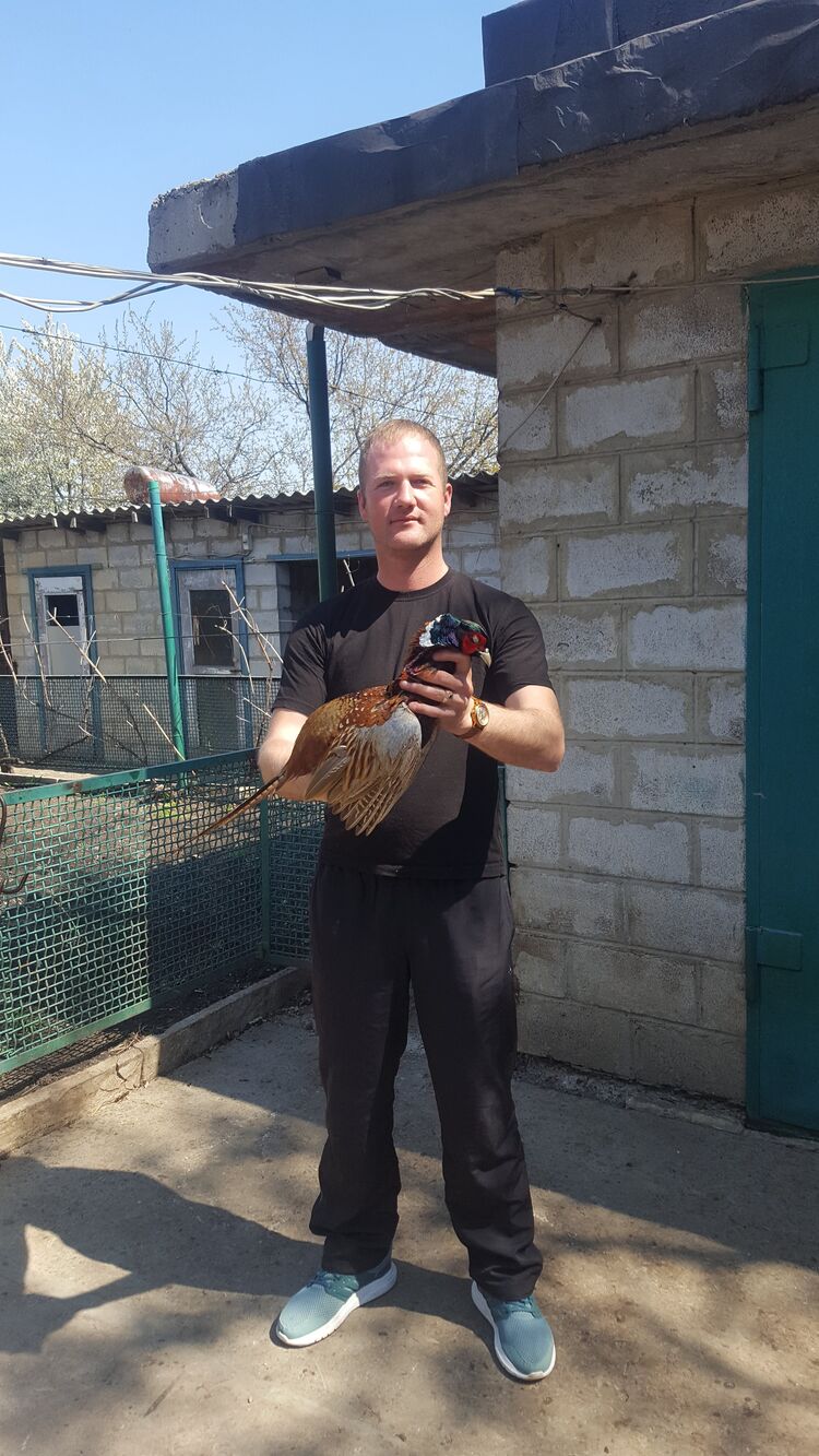 ���� 27833185 ������� ������, 41 ���, ���� ���������� � �����������