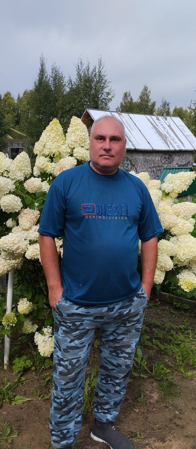 ���� 50373075 ������� �����, 48 ���, ���� ���������� � �������