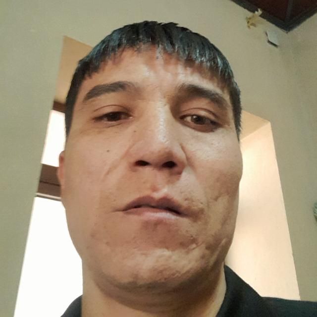  35350285  , 37 ,    