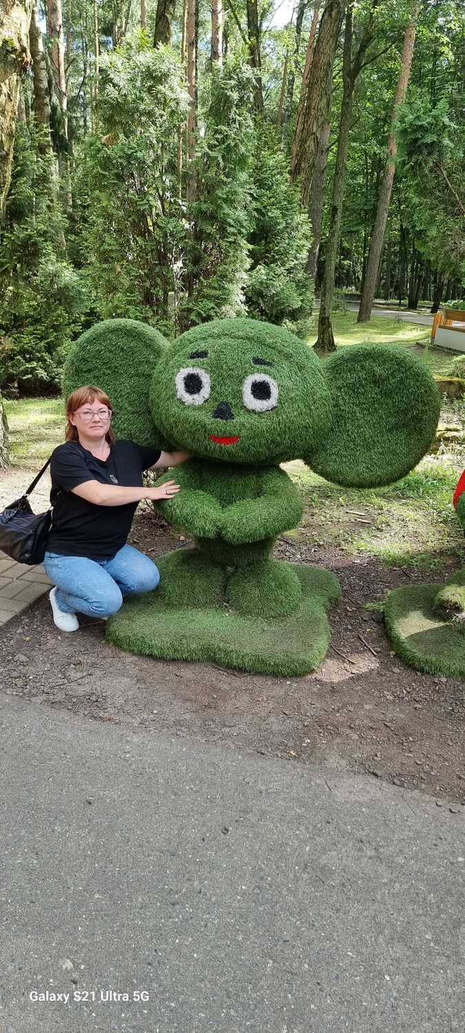  ,   , 41 ,   ,   