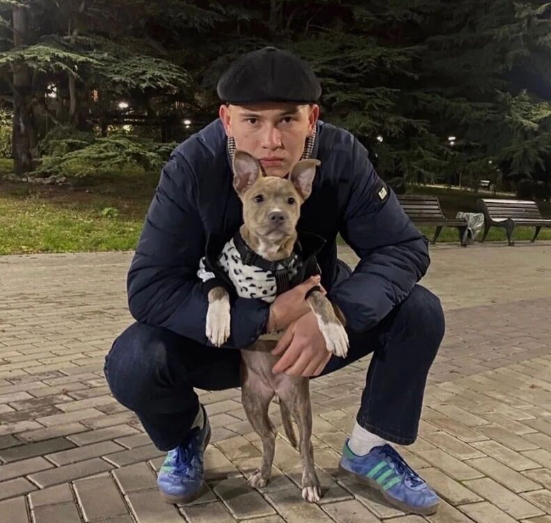 ���� 54995185 ������� CULT, 26 ���, ���� ���������� � ���������