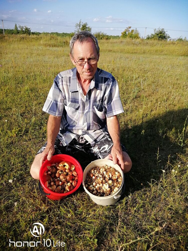  ,   , 68 ,   ,   , c 