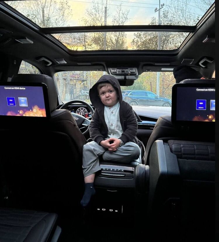 ���� 48535255 ����� �����, 23 ����, ���� ���������� � ��������