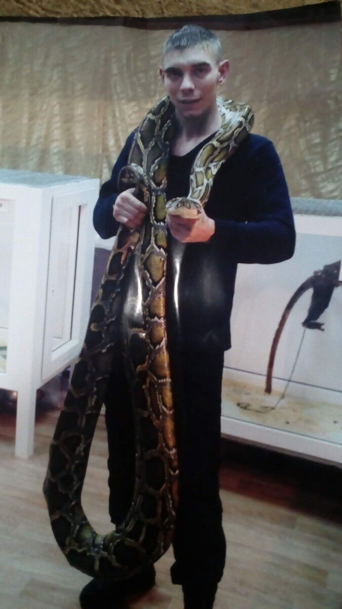 ���� 8055785 ������� �����, 40 ���, ���� ���������� � �������������