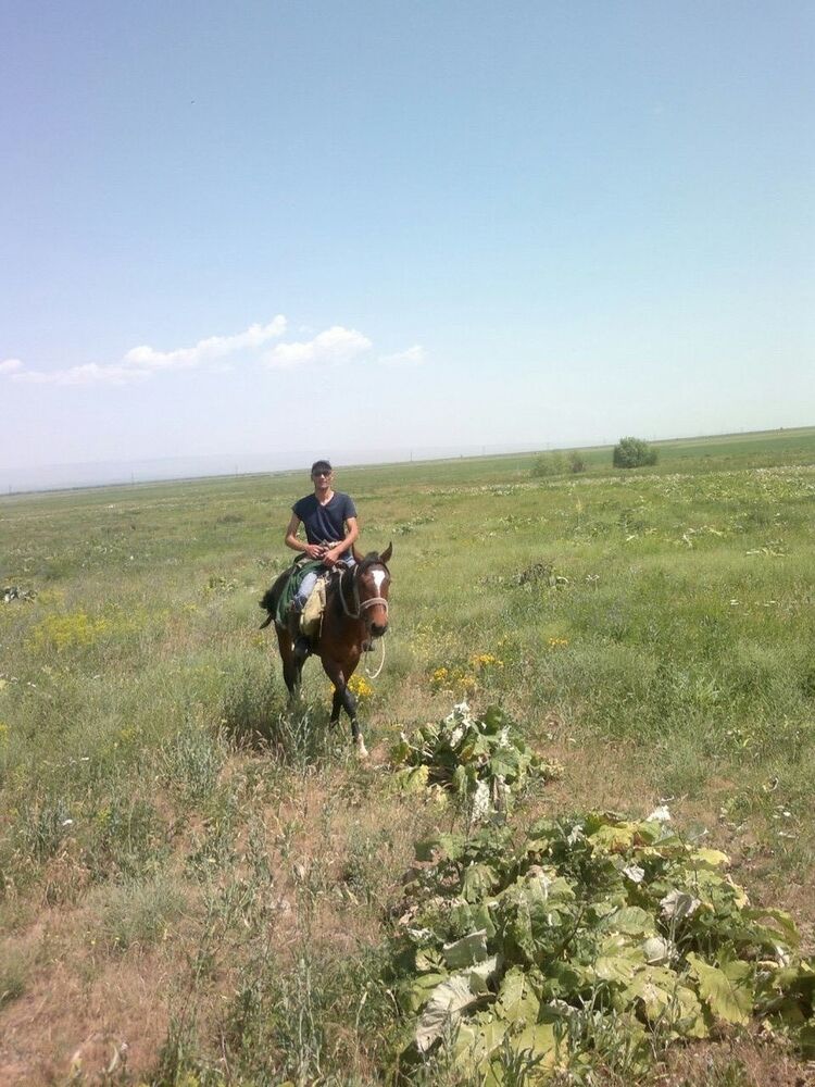 ���� 5205525 ������� ������, 43 ����, ���� ���������� � ������