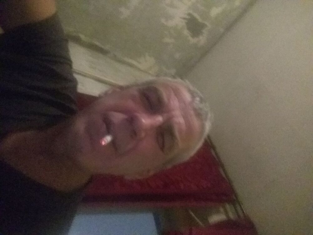  31777665  , 56 ,    -