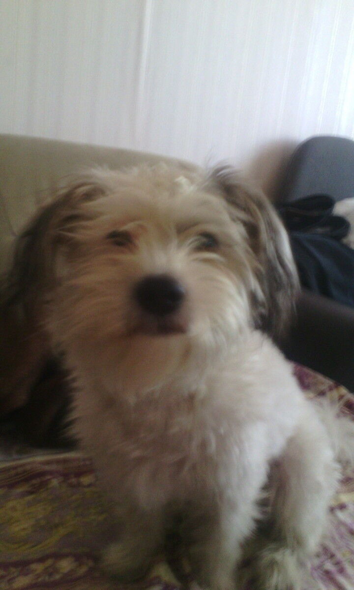  5811555  Sergey, 39 ,    