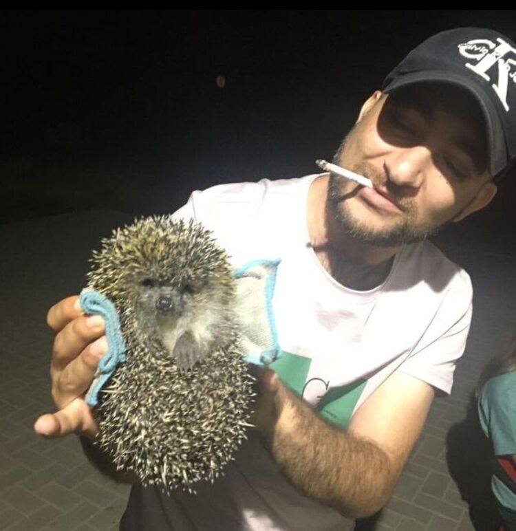 ���������� ���������, ���� ������� �����, 28 ���, ������������ ��� ������, ����� � ���������