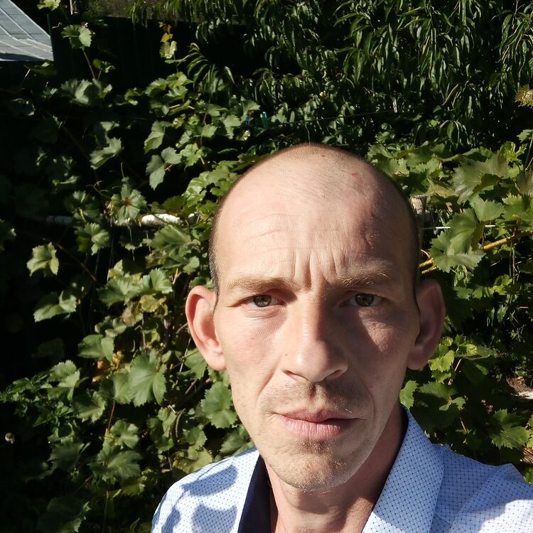  45241655  Igor, 38 ,    