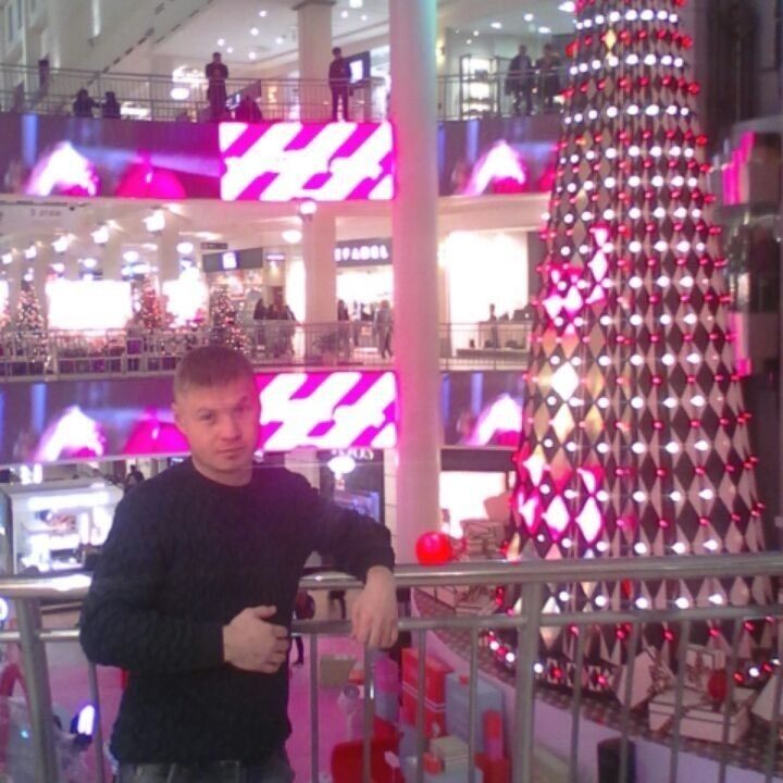 ���� 8628765 ������� ������, 40 ���, ���� ���������� � ���������������