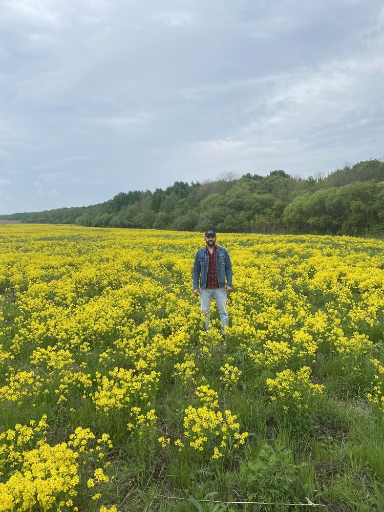 ���������� ���������, ���� ������� �����, 33 ����, ������������ ��� ������, ����� � ���������, ���������