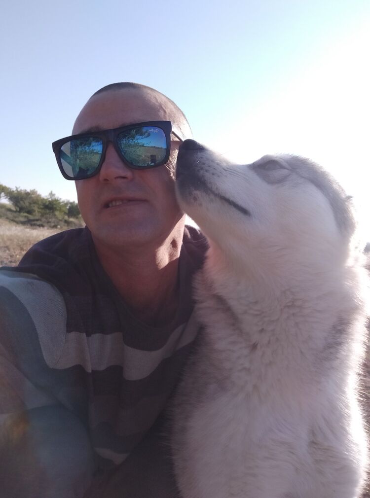 ���������� �����������, ���� ������� ������, 36 ���, ������������ ��� ������, ����� � ���������