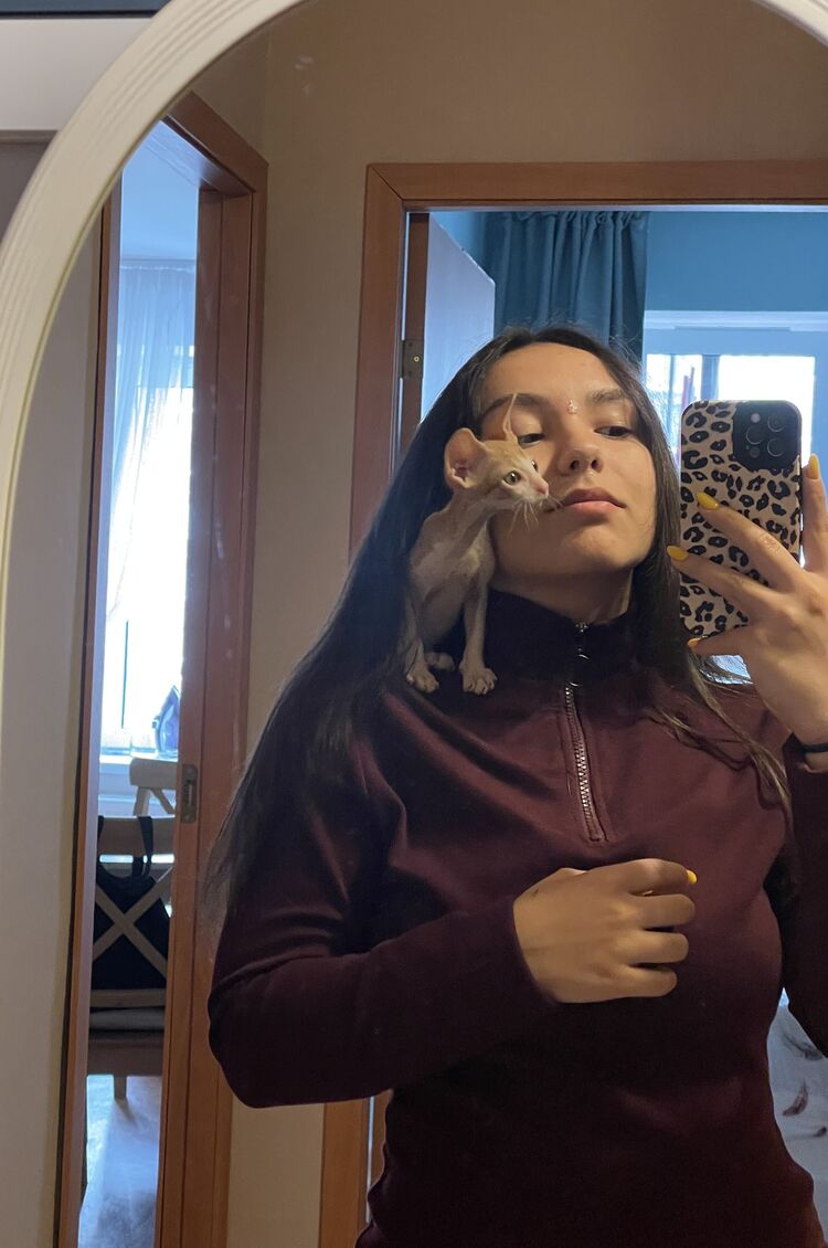 ���� 33502875 ������� �����, 26 ���, ���� ���������� � �����-����������