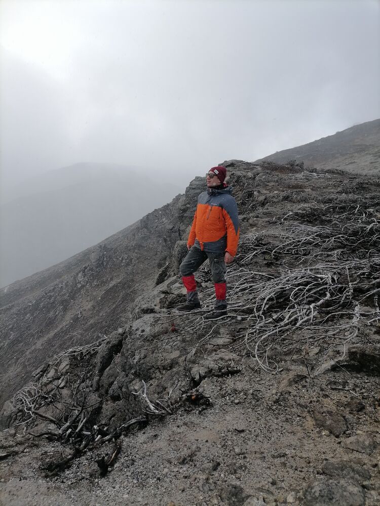 ���������� �������������-����������, ���� ������� ������, 40 ���, ������������ ��� ������, ����� � ���������, c�������� ���������, ���������