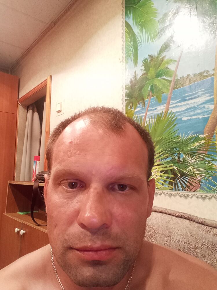 ���� 23323115 ������� �������, 45 ���, ���� ���������� � ����������