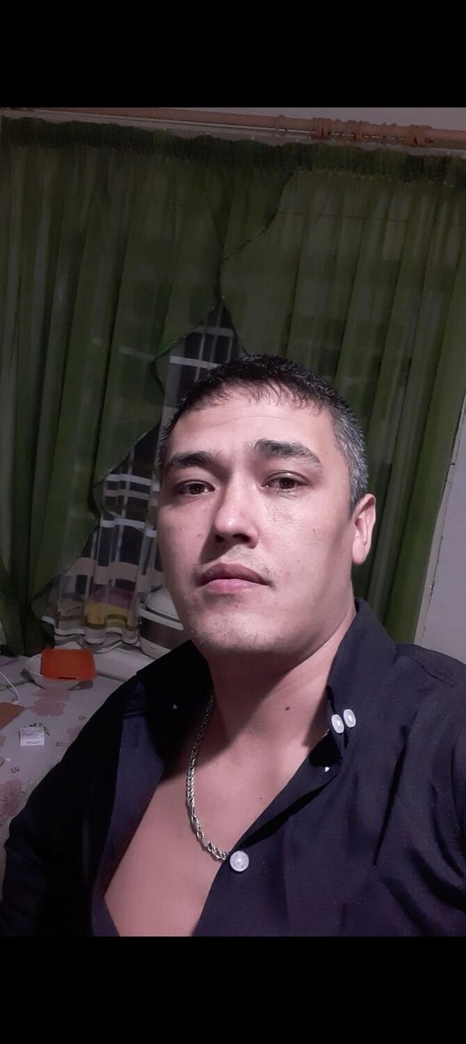  44340665  , 31 ,    