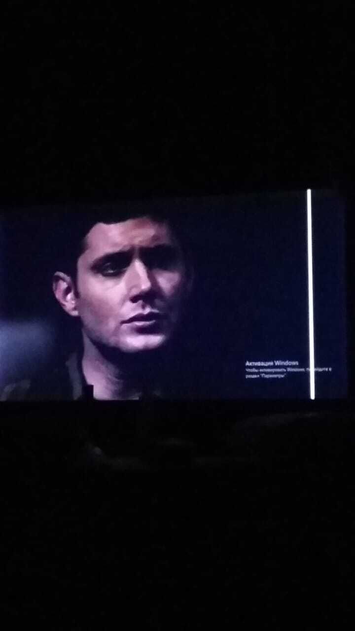 ���� 24692655 ������� ������, 43 ����, ���� ���������� � ����������