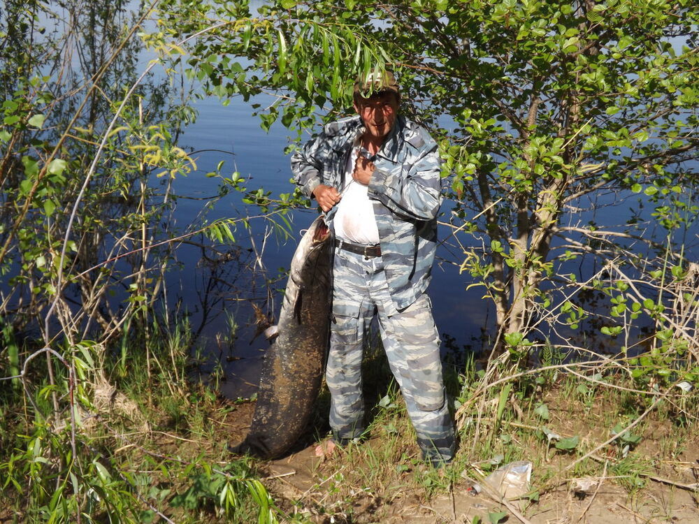 ���������� ������, ���� ������� ������, 58 ���, ������������ ��� ������