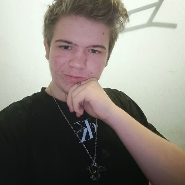  49904965  , 18 ,    