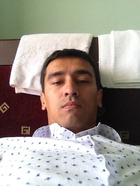 ���� 5174025 ������� Wolf, 40 ���, ���� ���������� � ������