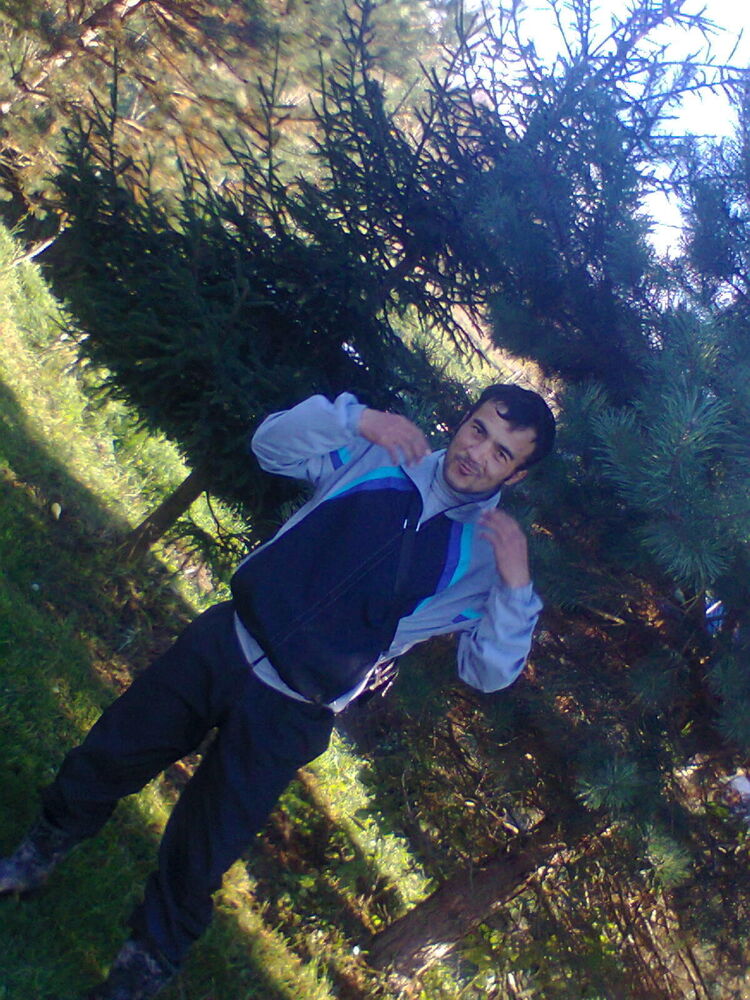  53353375  Bakhrom, 40 ,    