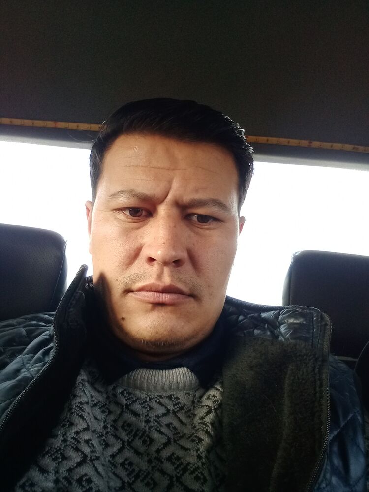  43795435  , 32 ,    
