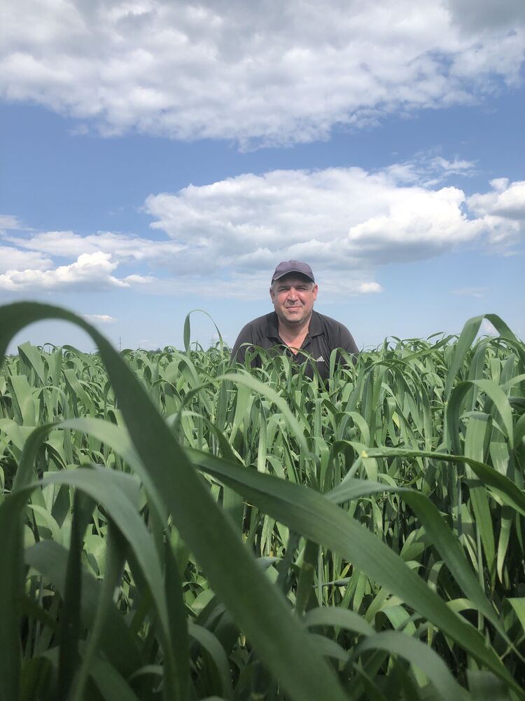 ���������� ������-��-����, ���� ������� �������, 44 ����, ������������ ��� ������, ����� � ���������