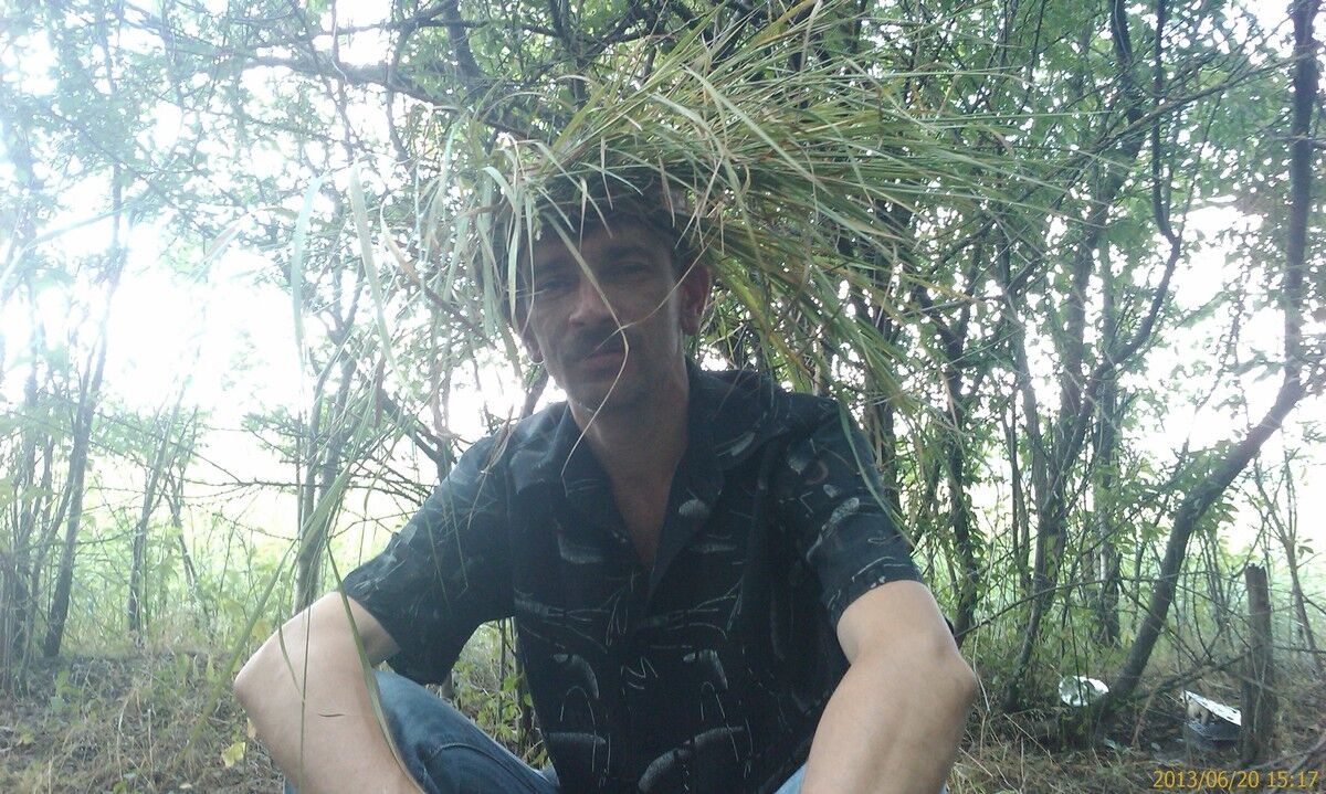   ,   , 52 ,   
