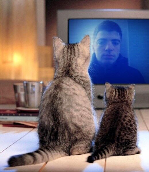 ���� 6827215 ������� ������, 28 ���, ���� ���������� � ������ ����