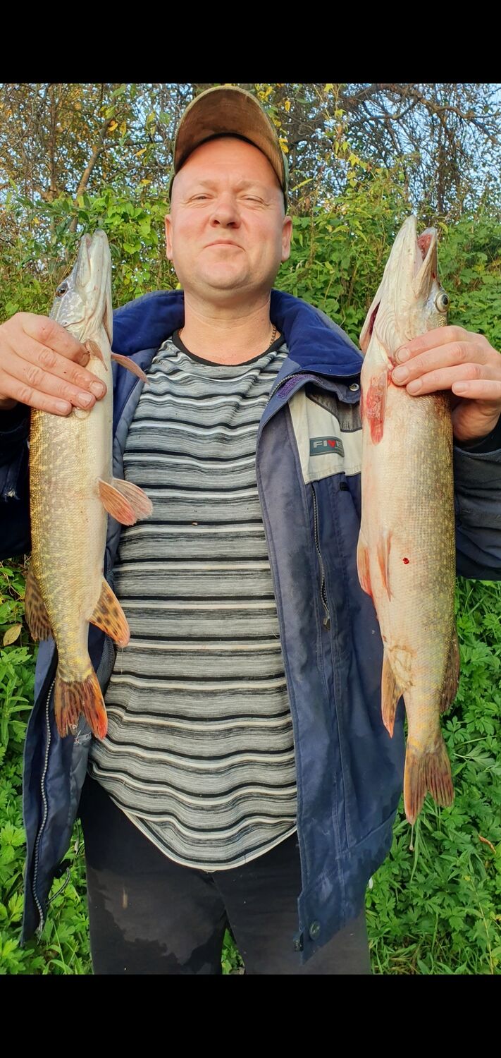 ���������� �����������, ���� ������� �������, 44 ����, ������������ ��� ����� � ���������, c�������� ���������