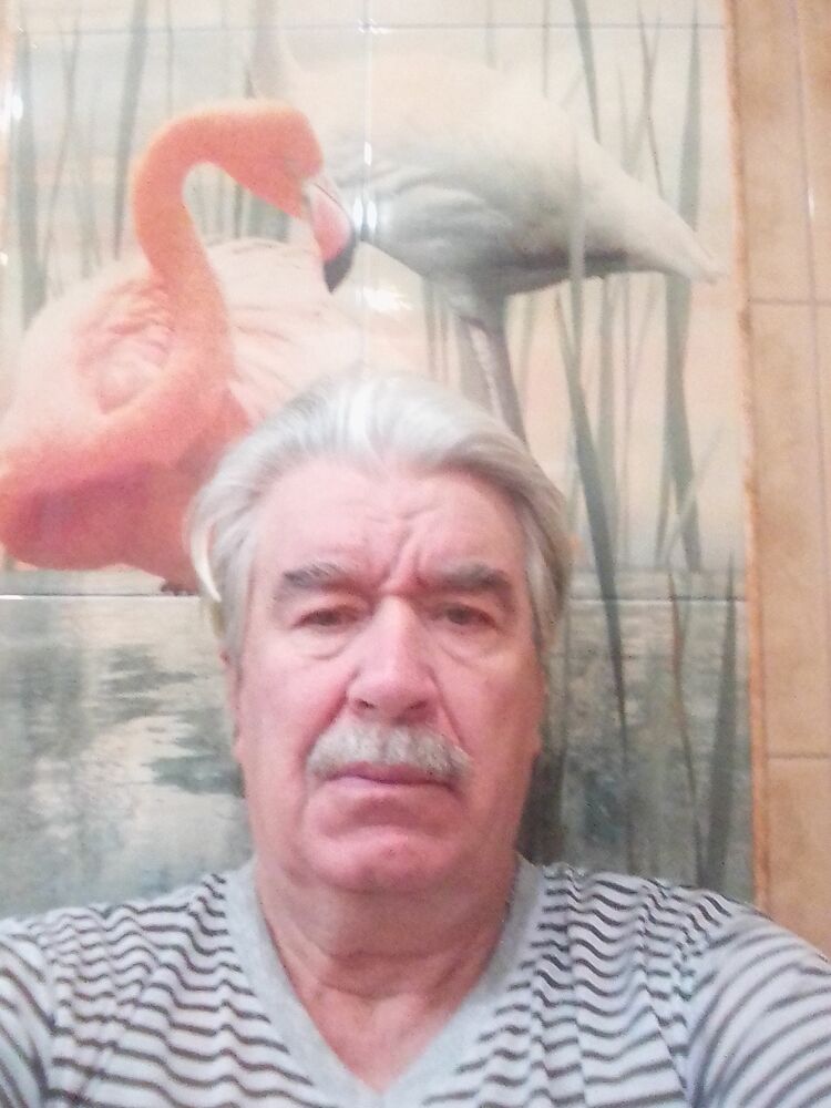  48356685  , 65 ,    