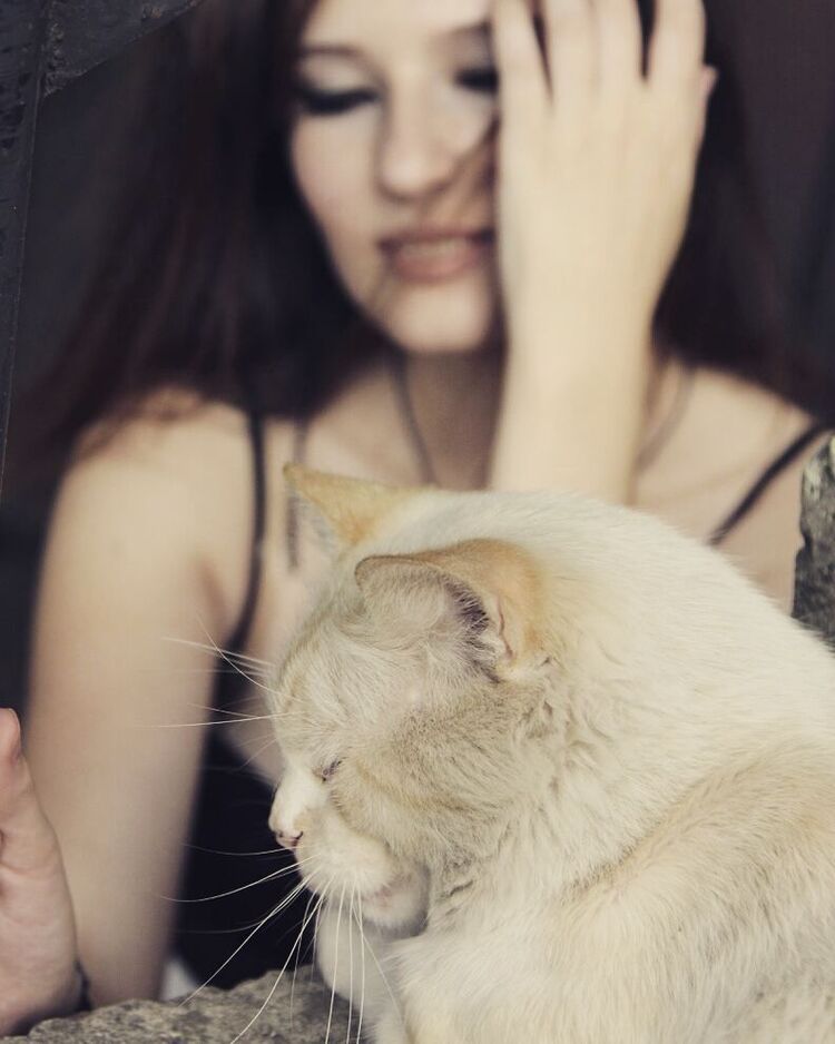 ���������� �������, ���� ������� ������, 26 ���, ������������ ��� ������, ����� � ���������, c�������� ���������