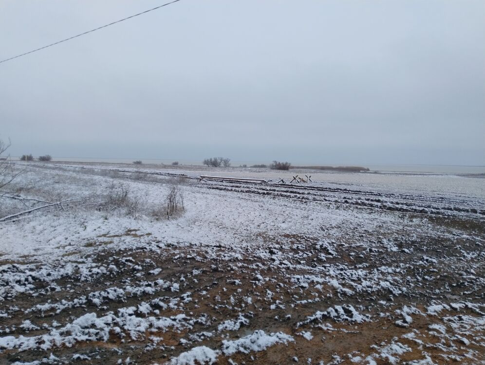 ���� 55943865 ����� ������, 20 ���, ���� ���������� � ��������