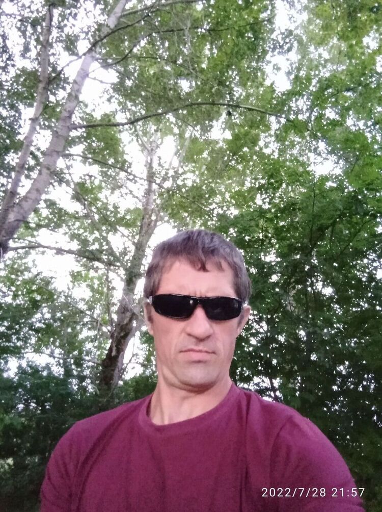  29798335  , 41 ,    -