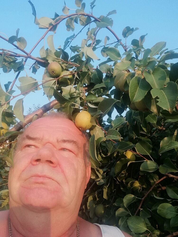 ,    , 60 ,   ,   