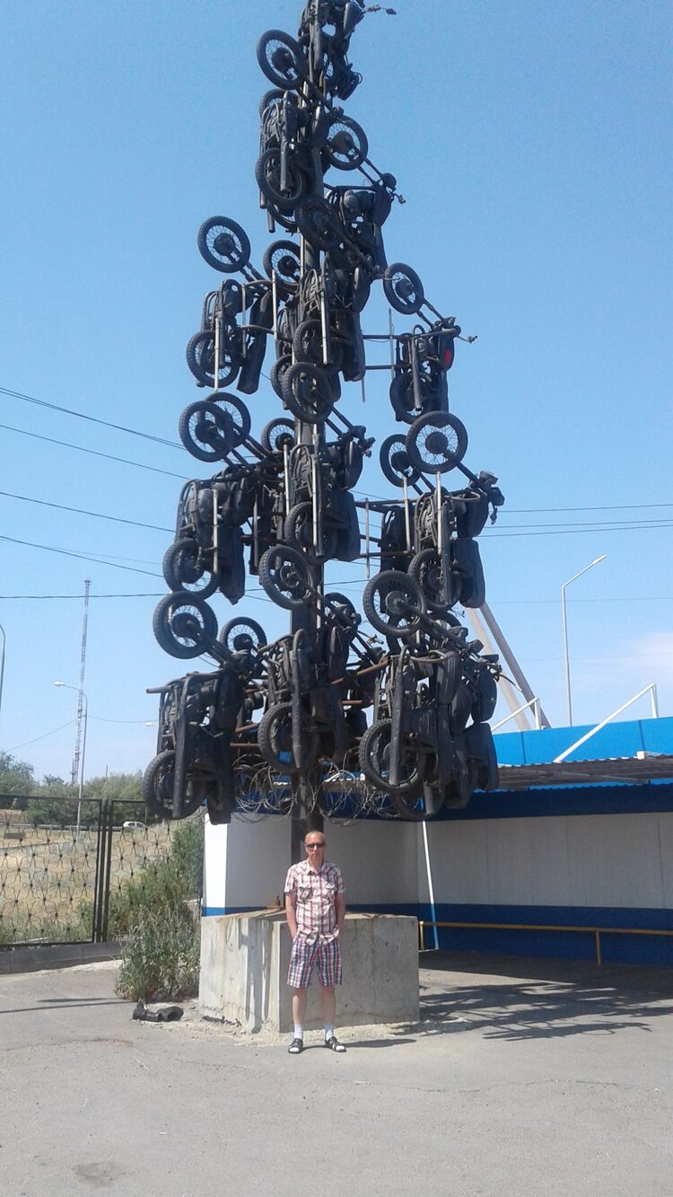  43007865  , 38 ,    