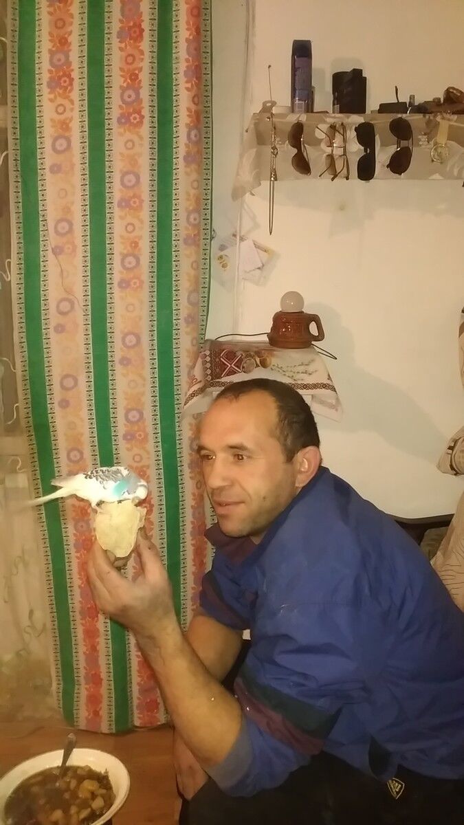  ,   , 45 ,   ,   , c 