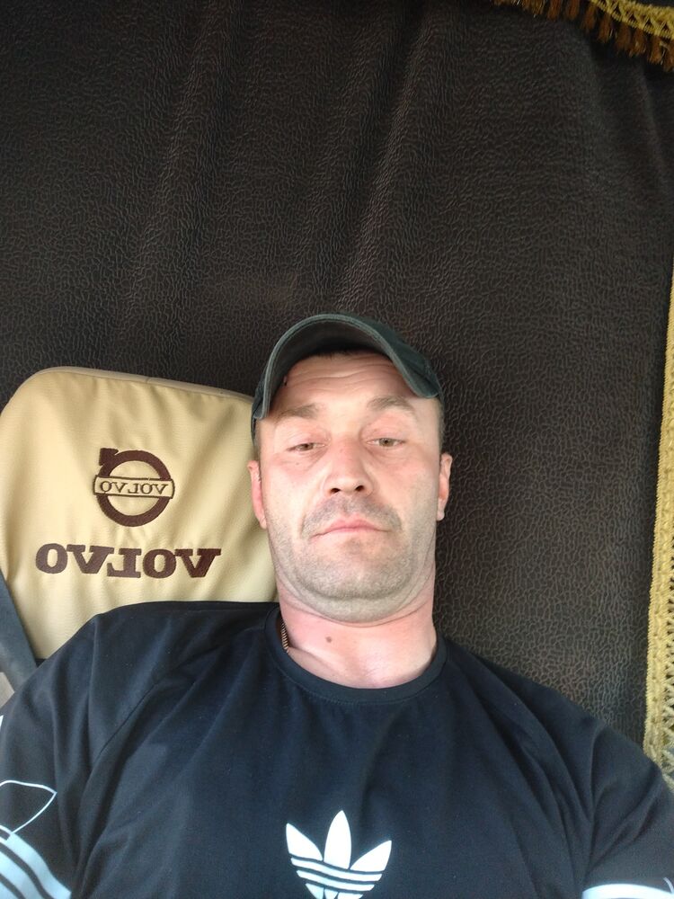  34913635  , 41 ,    