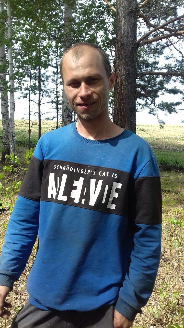  53309145  , 34 ,    -