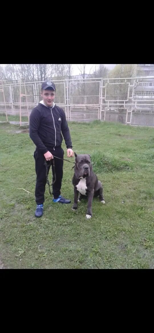 ���� 43002515 ������� �������, 34 ����, ���� ���������� � �����-����������