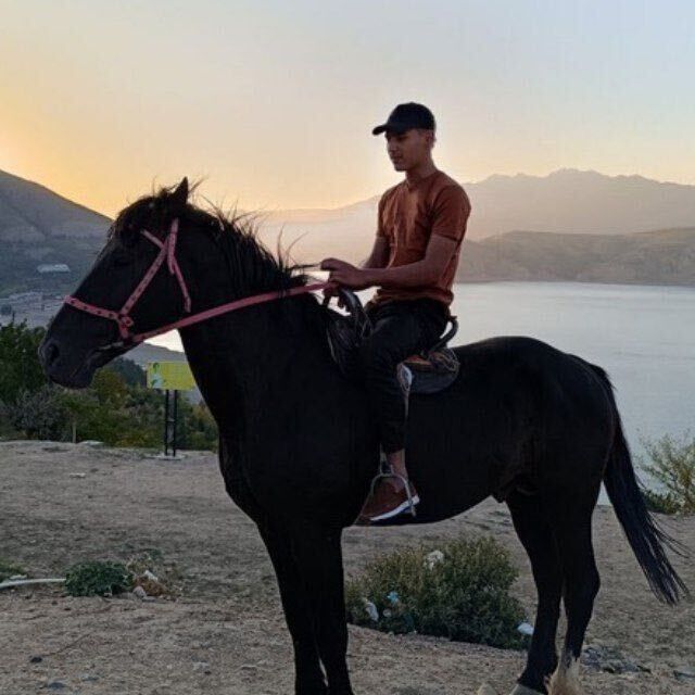 ���� 55839535 ������� Orif, 26 ���, ���� ���������� � ��������