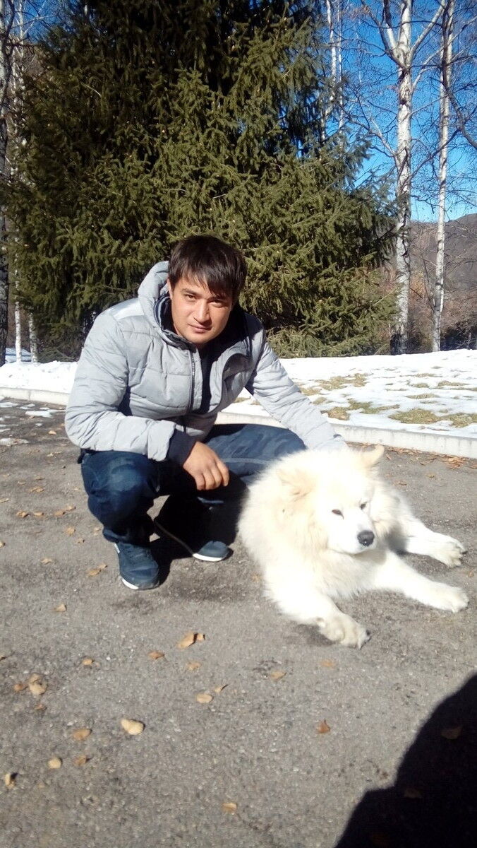 ���� 8734925 ������� ������, 37 ���, ���� ���������� � ������